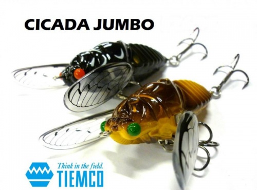  Tiemco Cicada Jumbo