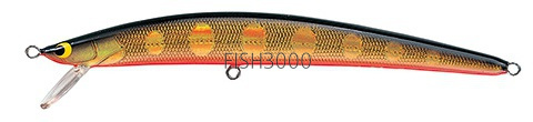  Tackle House Twinkle TWS 60S F-5 Gold black/orang