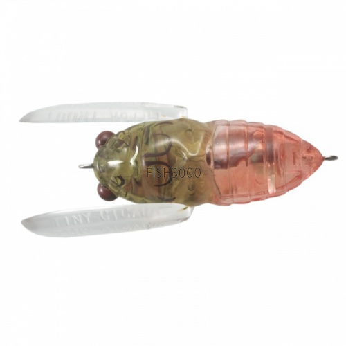  Tiemco Tiny Cicada TTTC 067 Haruzemi Abalone