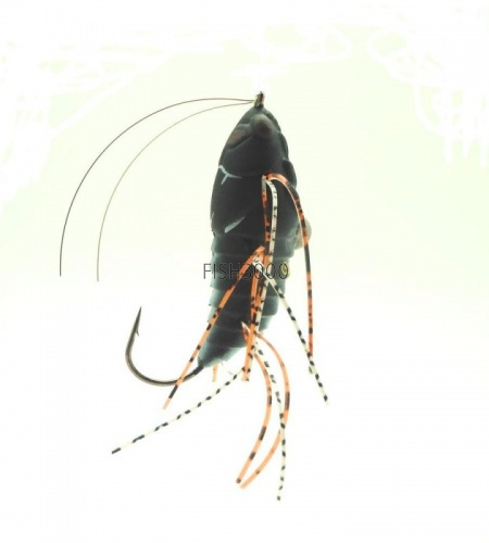 CB-002 Large Brown Cicada