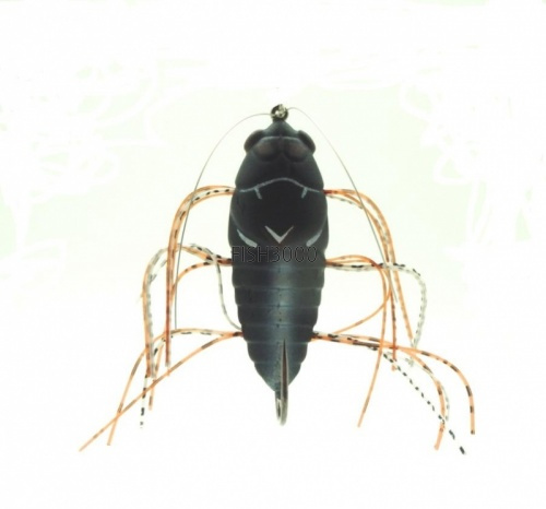 CB-002 Large Brown Cicada