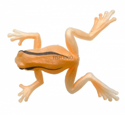 #11 Business Card Frog