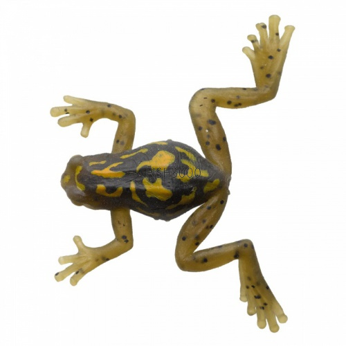 #13 Kajika Frog 