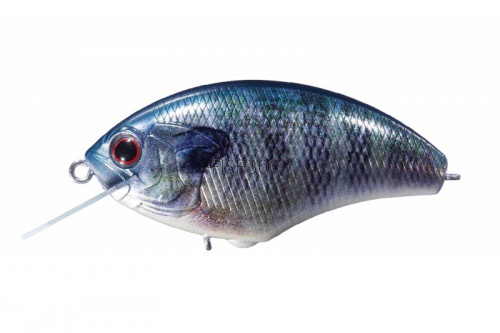 RPO45 Real Blue Gill