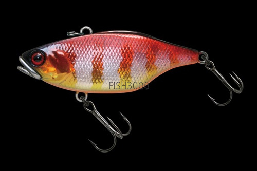 MARUHATA RED GOLD GILL