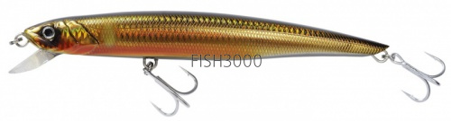  FishyCat TigerCub 205F R04