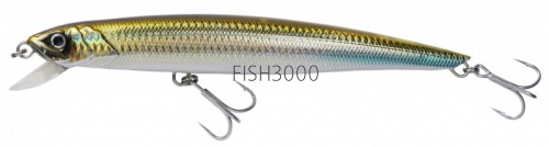  FishyCat TigerCub 205F R09