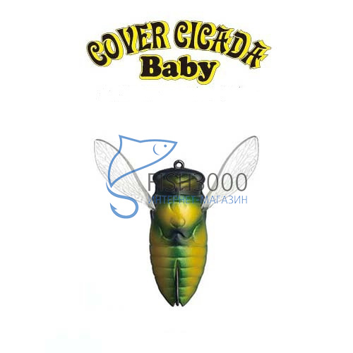 Fish Arrow - COVER CICADA Baby
