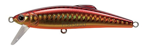  Tackle House Buffet Mute 50S 13 Gold red/orange