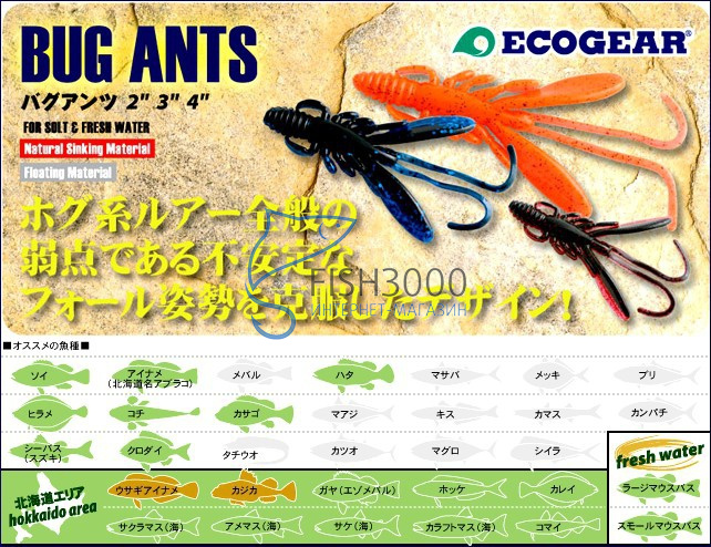   Ecogear Bug Ants 4