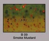   Reins Fat G-Tail Grub 2 #B09 Smoke Mustard