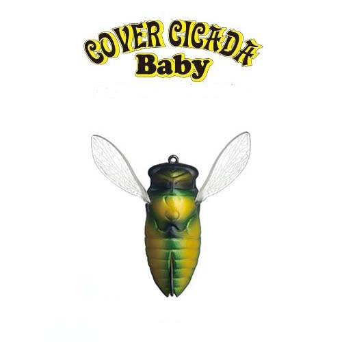 Fish Arrow - COVER CICADA Baby