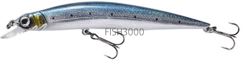 FISHYCAT - LIBYCA 110SP R08