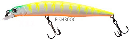 FISHYCAT - LIBYCA 110SP X11
