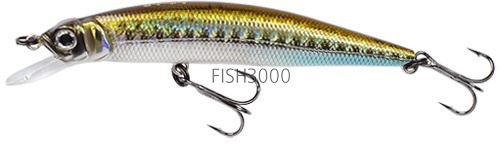 FISHYCAT - LIBYCA 75SP R09