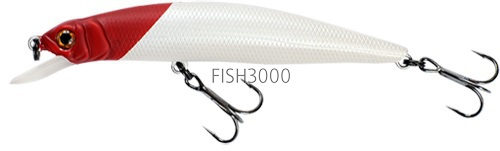 FISHYCAT - LIBYCA 75SP X01