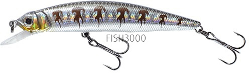 FISHYCAT - LIBYCA 75SP X05