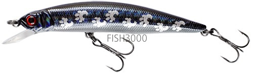 FISHYCAT - LIBYCA 75SP X07