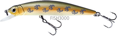 FISHYCAT - LIBYCA 75SP X08