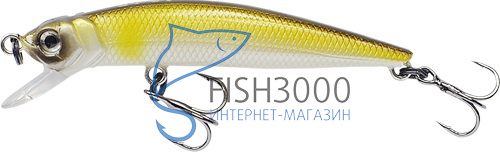 FISHYCAT - LIBYCA 50SP
